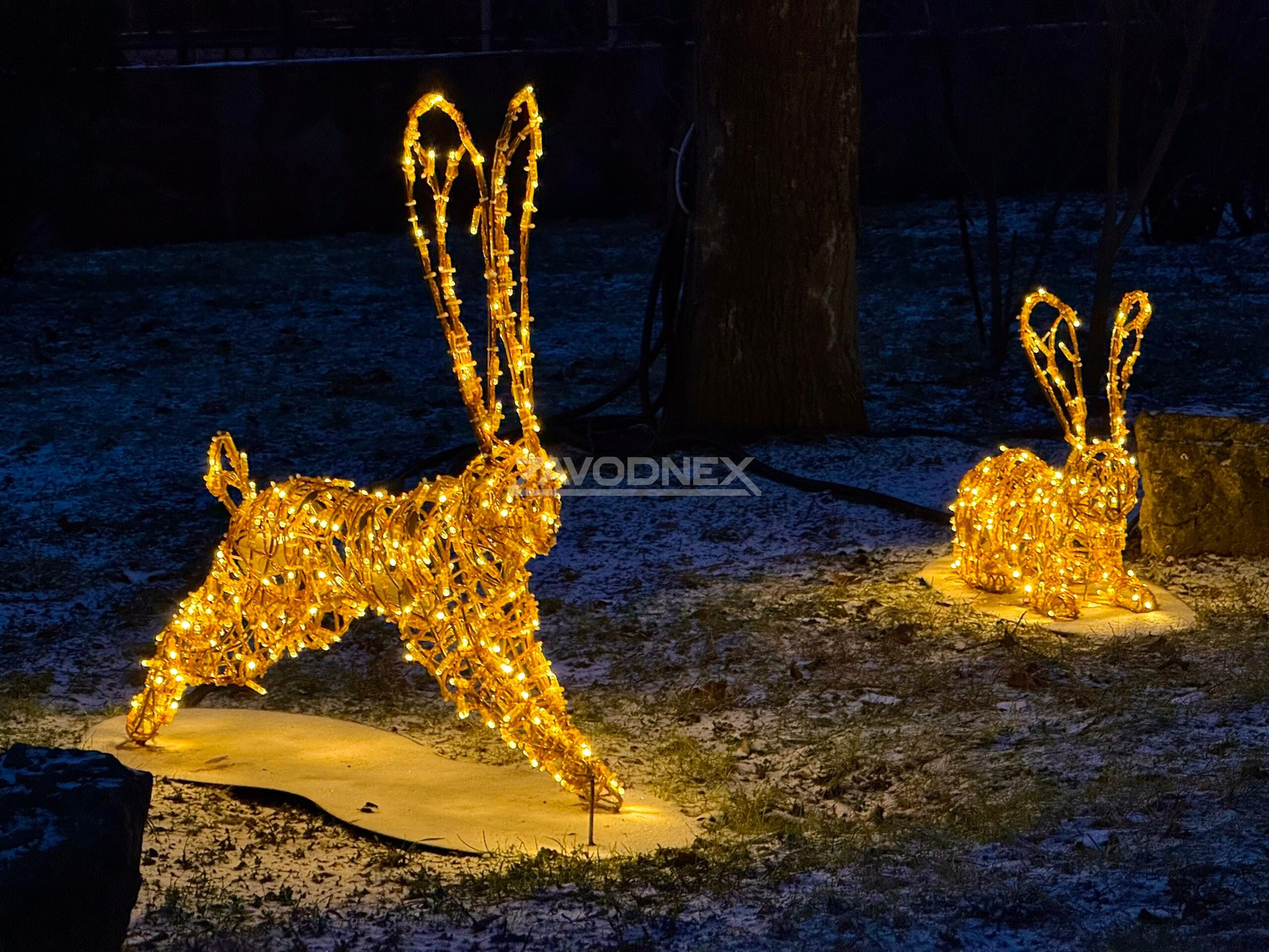 Ленинградский зоопарк